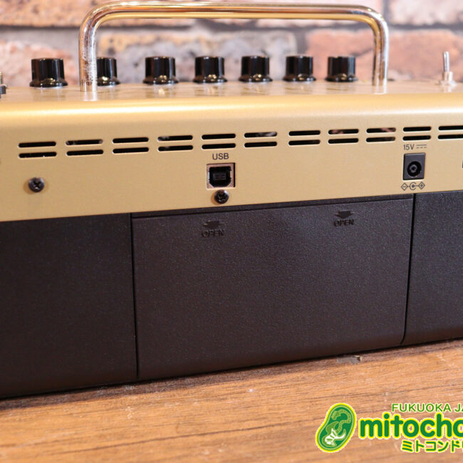 自宅用のミニアンプです。エフェクターも内蔵していて、ヘッドフォンも使えます！