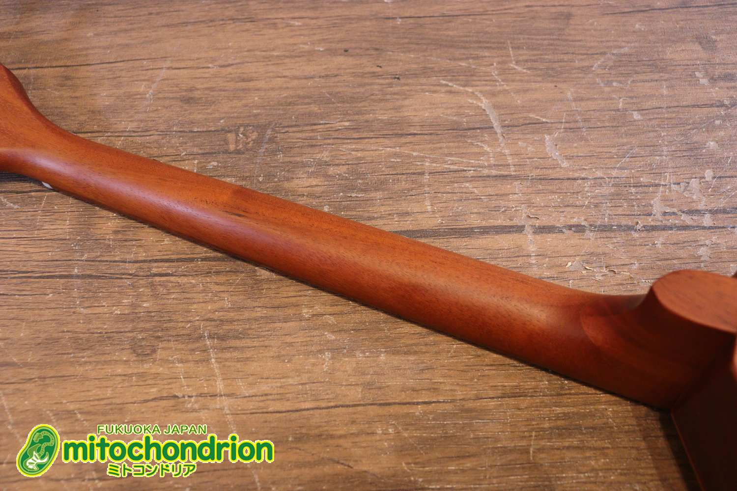 人差し指1本で簡単に弾ける、ヤイリギターとBEGINが誕生させた楽器です！