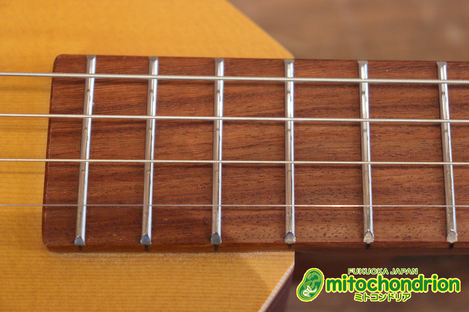 人差し指1本で簡単に弾ける、ヤイリギターとBEGINが誕生させた楽器です！