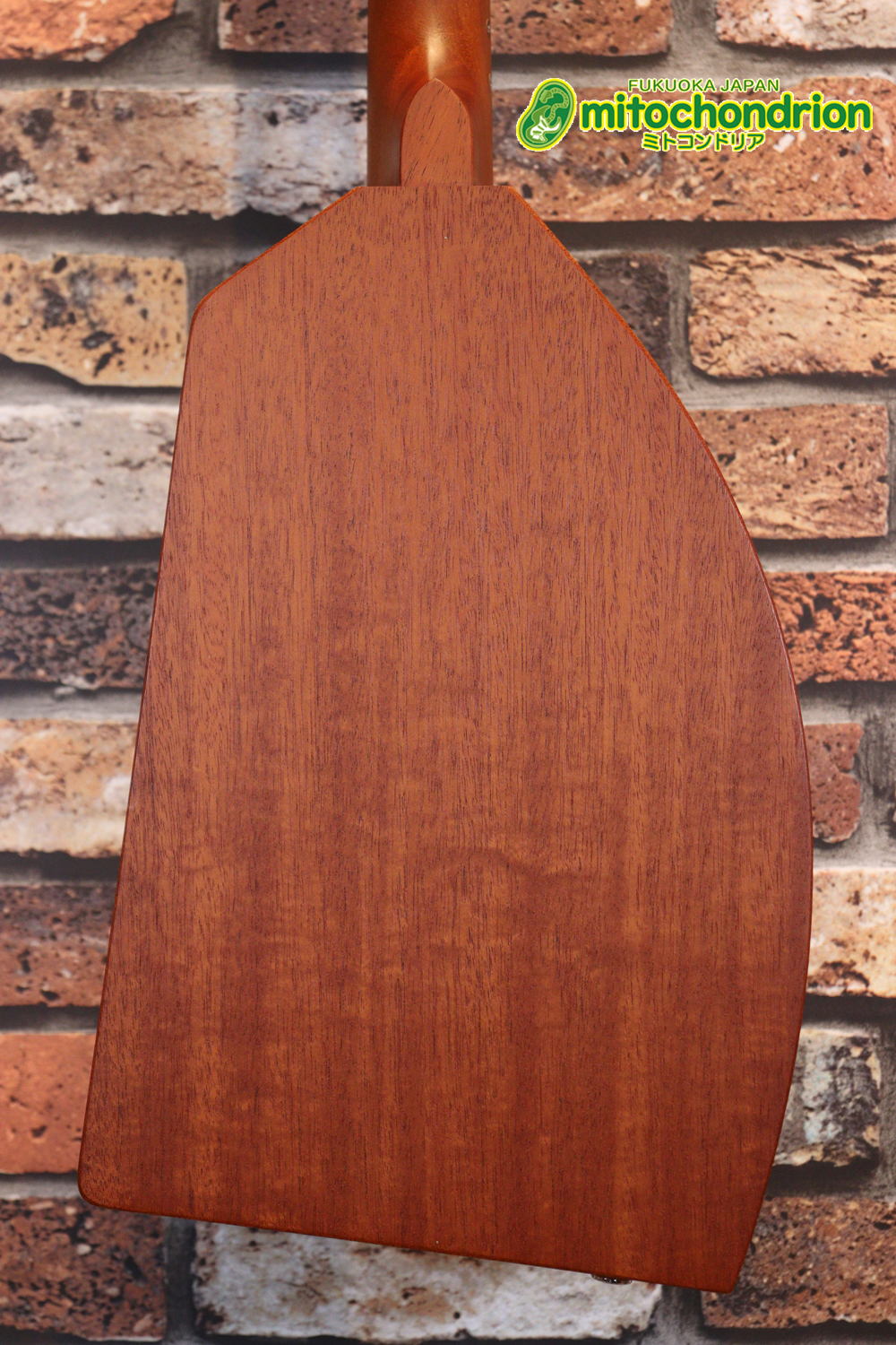 人差し指1本で簡単に弾ける、ヤイリギターとBEGINが誕生させた楽器です！