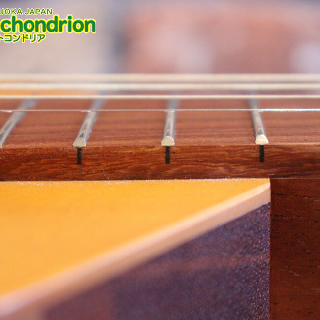 人差し指1本で簡単に弾ける、ヤイリギターとBEGINが誕生させた楽器です！