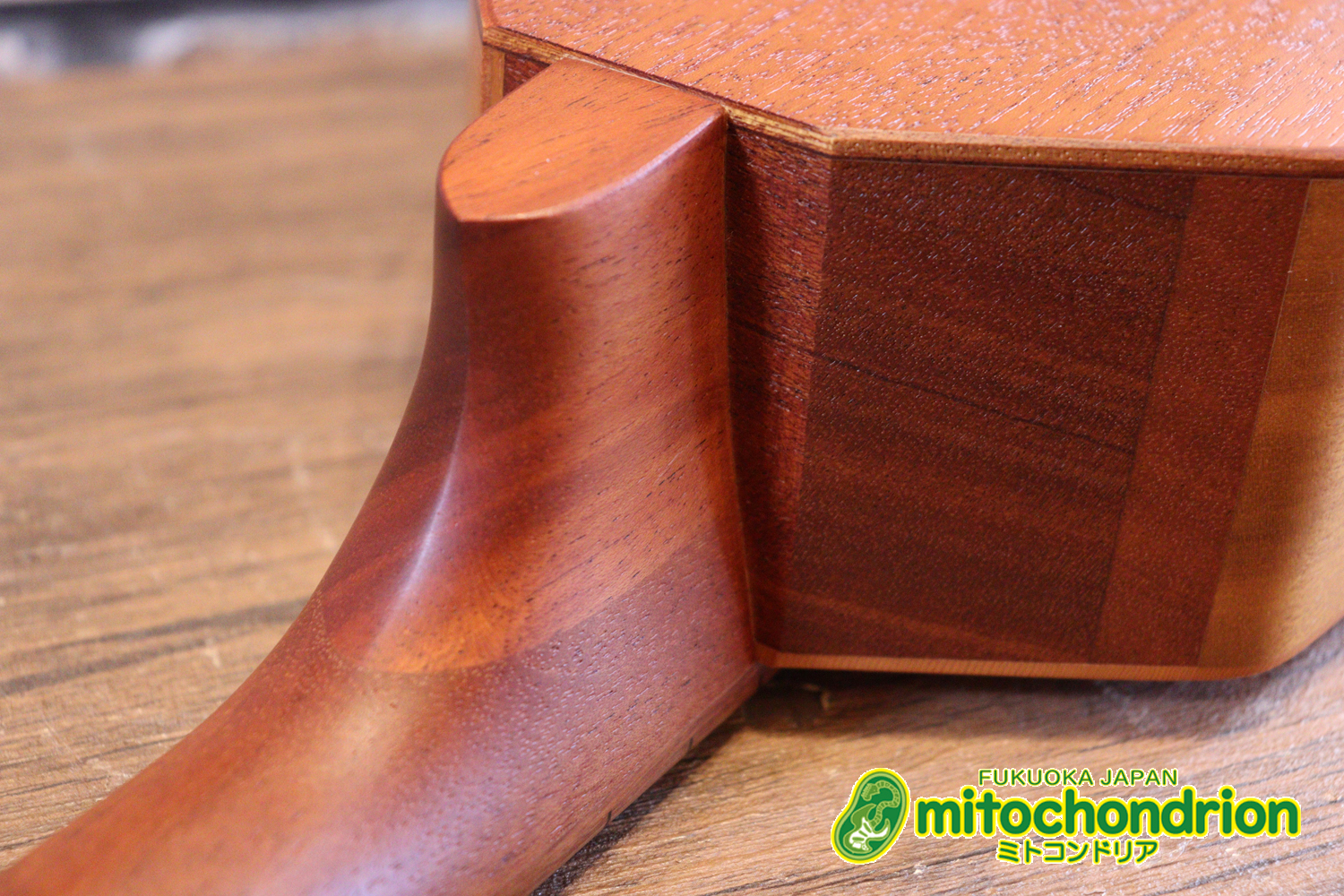 人差し指1本で簡単に弾ける、ヤイリギターとBEGINが誕生させた楽器です！