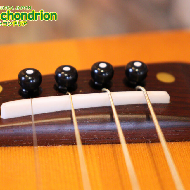 人差し指1本で簡単に弾ける、ヤイリギターとBEGINが誕生させた楽器です！