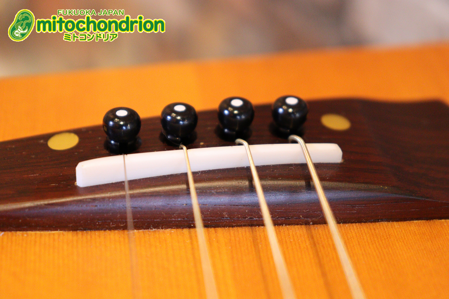 人差し指1本で簡単に弾ける、ヤイリギターとBEGINが誕生させた楽器です！