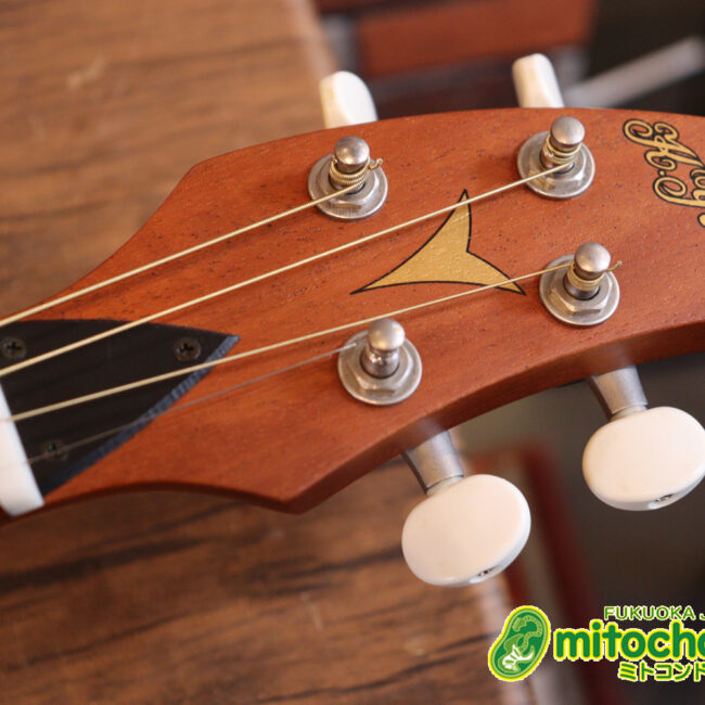人差し指1本で簡単に弾ける、ヤイリギターとBEGINが誕生させた楽器です！