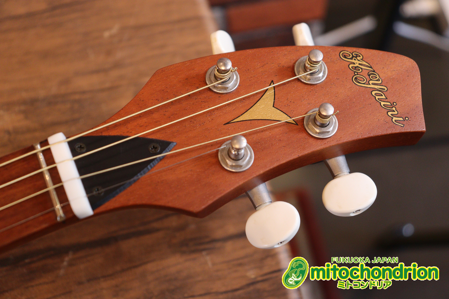 人差し指1本で簡単に弾ける、ヤイリギターとBEGINが誕生させた楽器です！