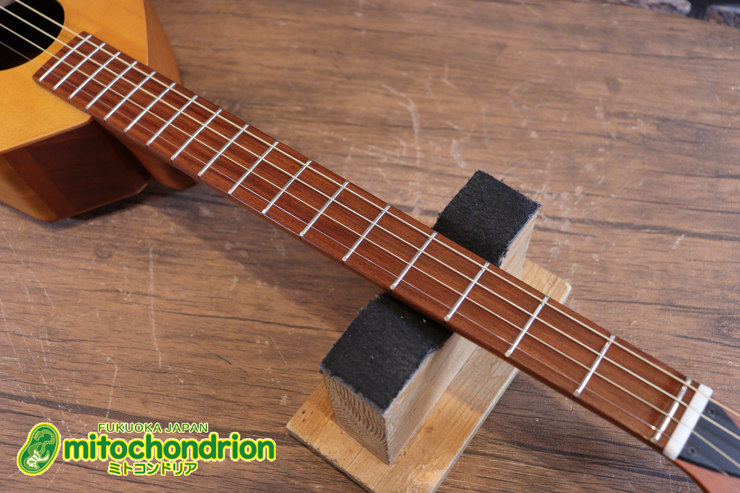 人差し指1本で簡単に弾ける、ヤイリギターとBEGINが誕生させた楽器です！