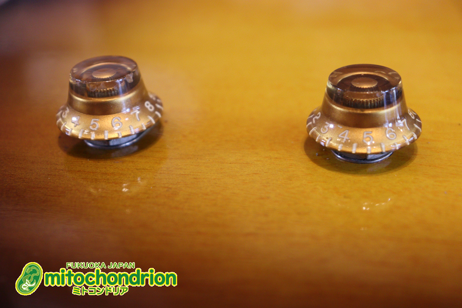 かなり美品の1956年製レスポールジュニアです！