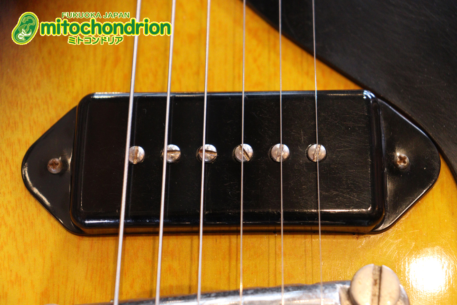 かなり美品の1956年製レスポールジュニアです！