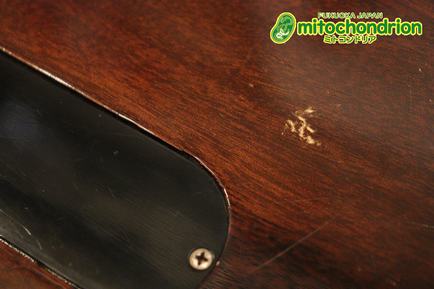 かなり美品の1956年製レスポールジュニアです！