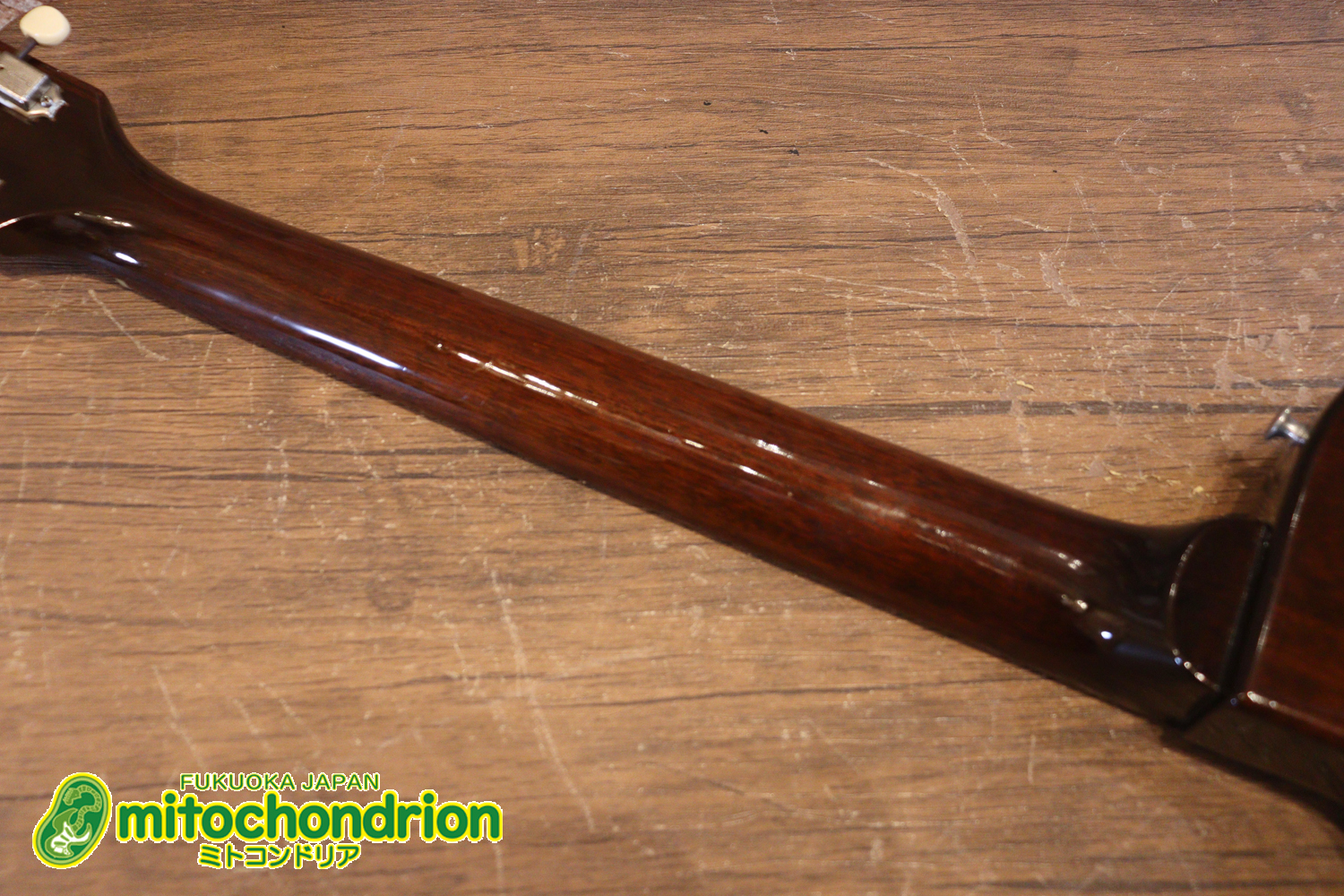 かなり美品の1956年製レスポールジュニアです！