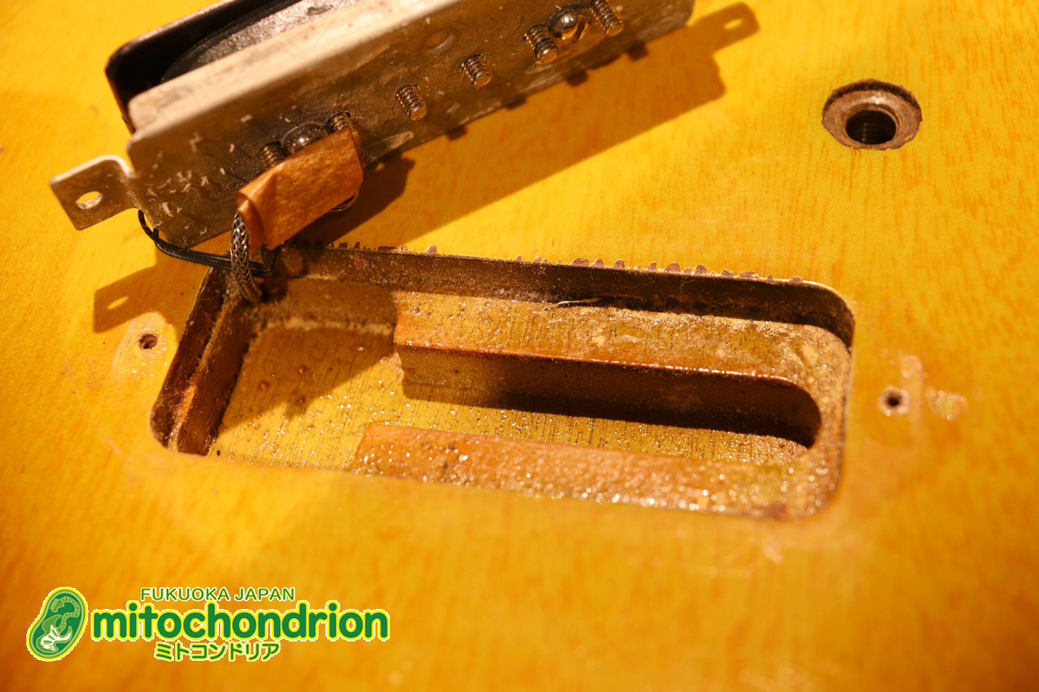 かなり美品の1956年製レスポールジュニアです！