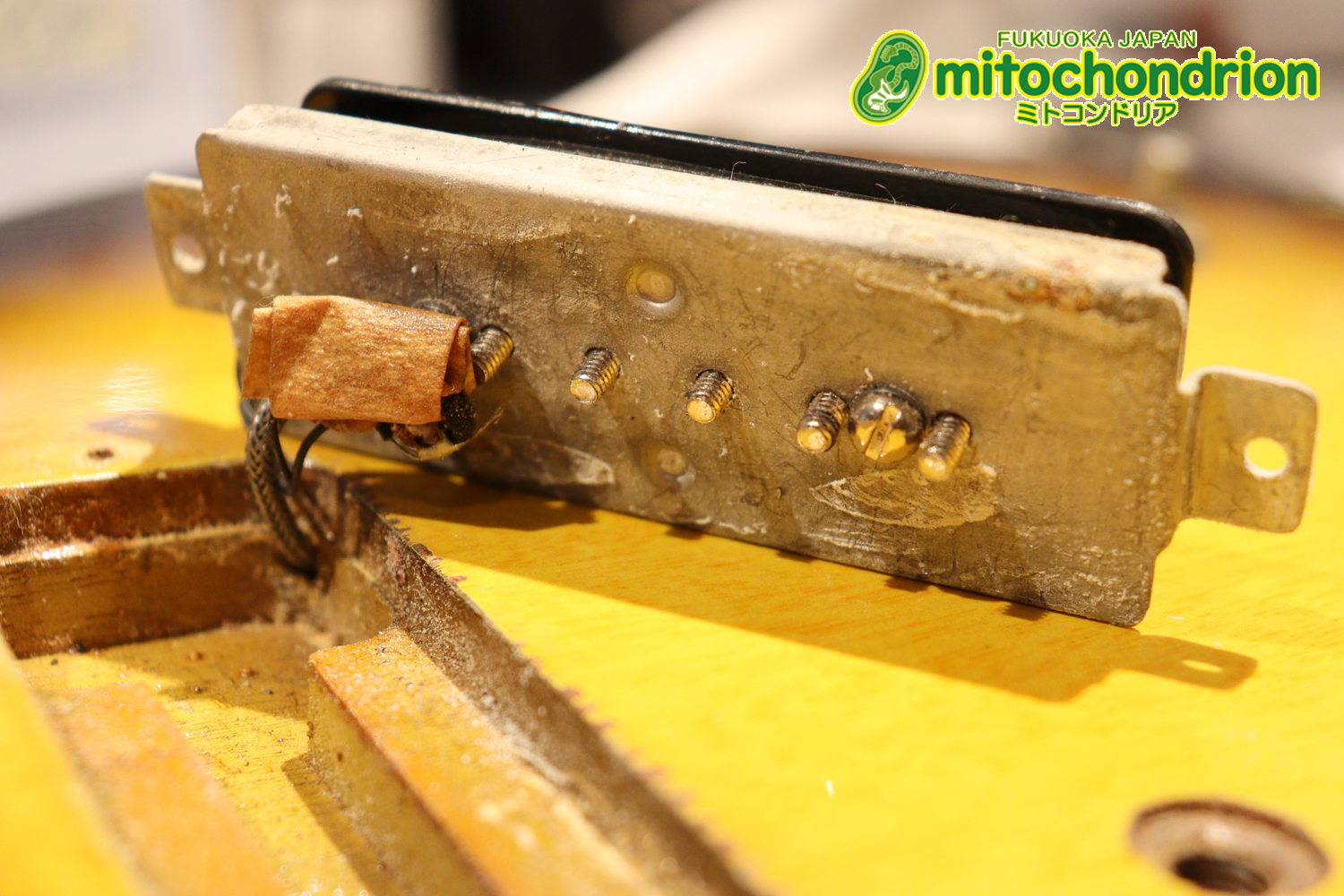 かなり美品の1956年製レスポールジュニアです！