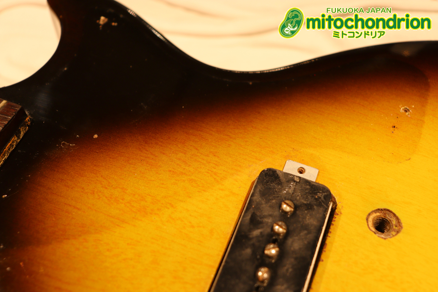 かなり美品の1956年製レスポールジュニアです！