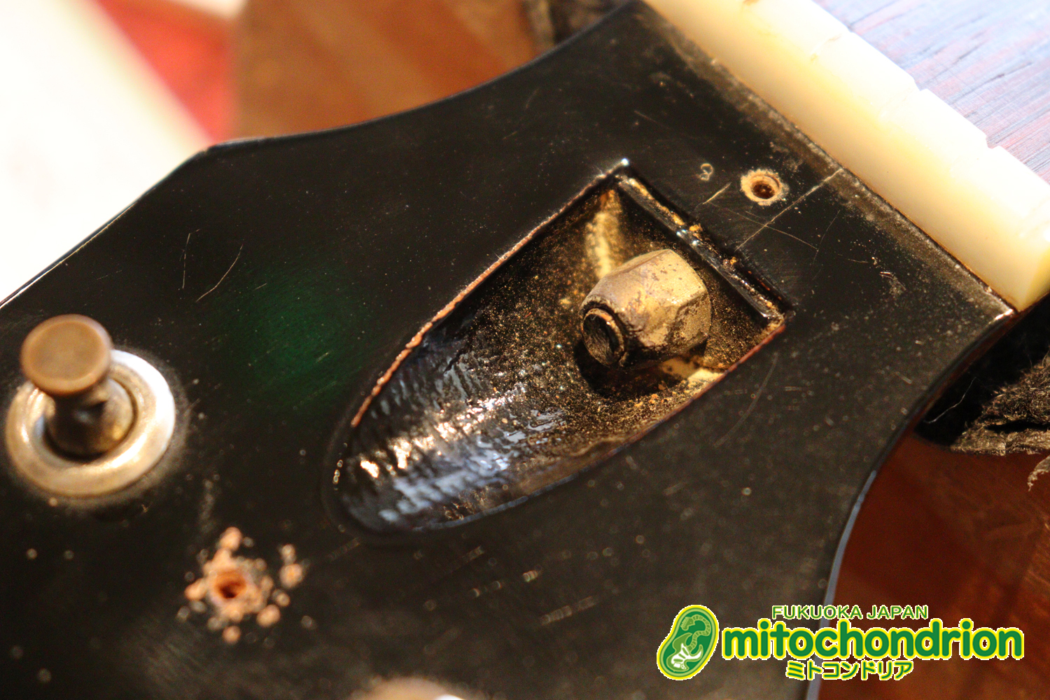 かなり美品の1956年製レスポールジュニアです！