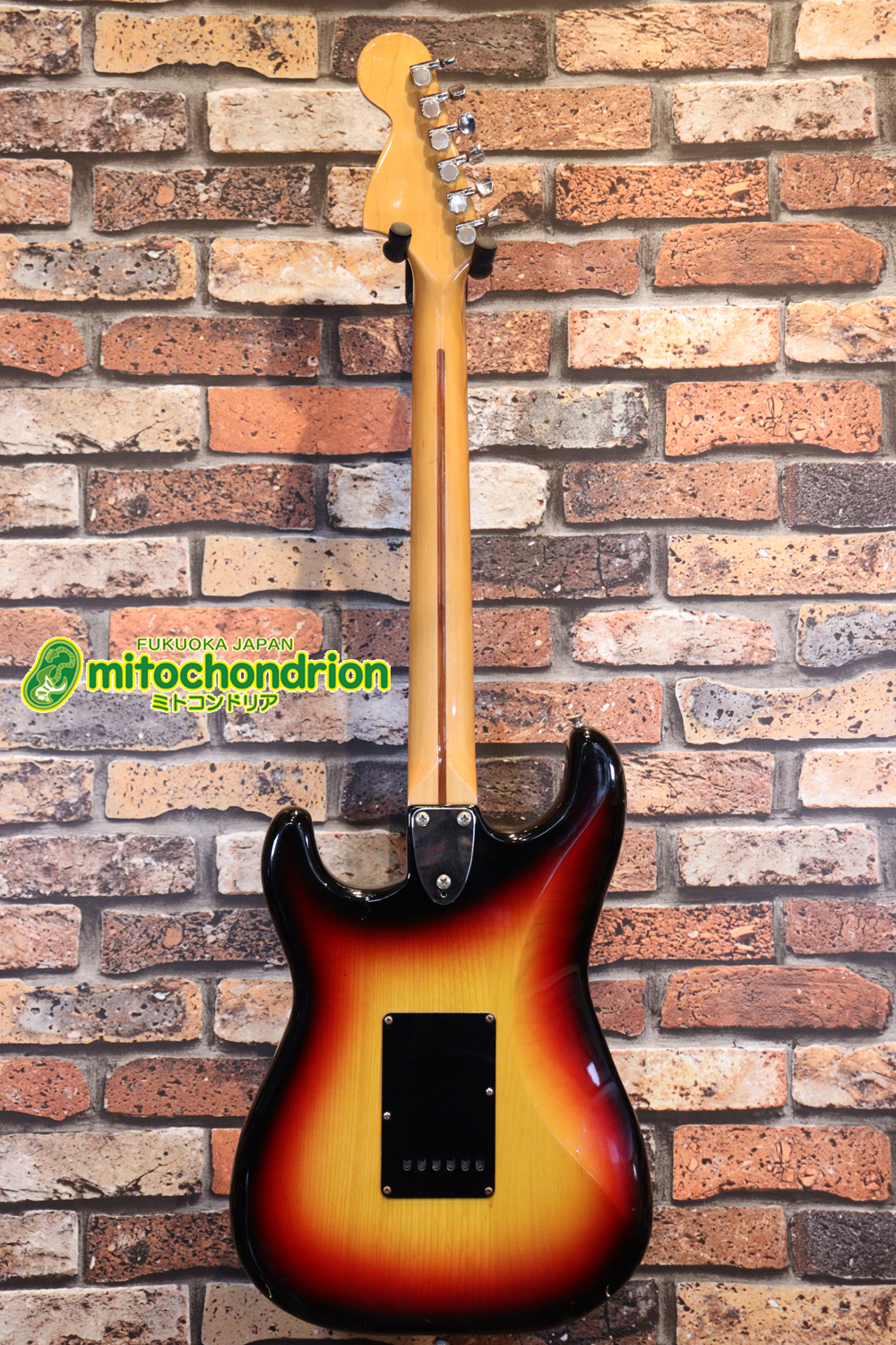 かなり綺麗な状態のTokaiシルバースター！