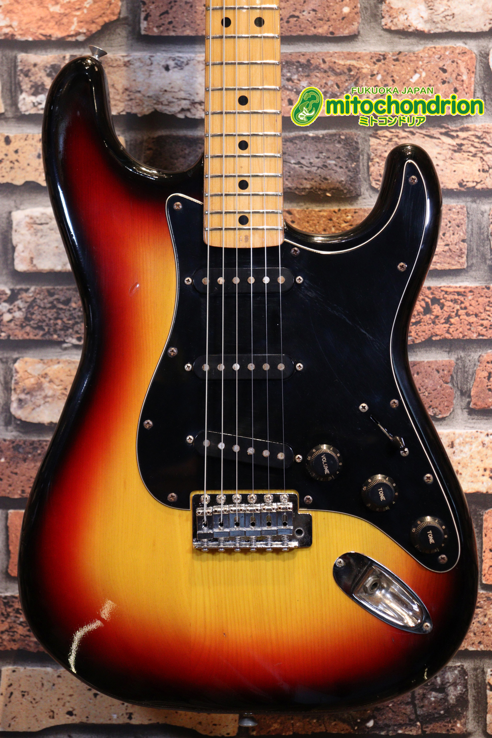 かなり綺麗な状態のTokaiシルバースター！