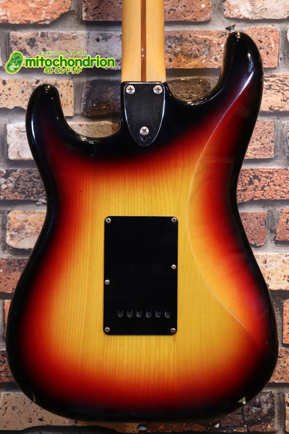 かなり綺麗な状態のTokaiシルバースター！