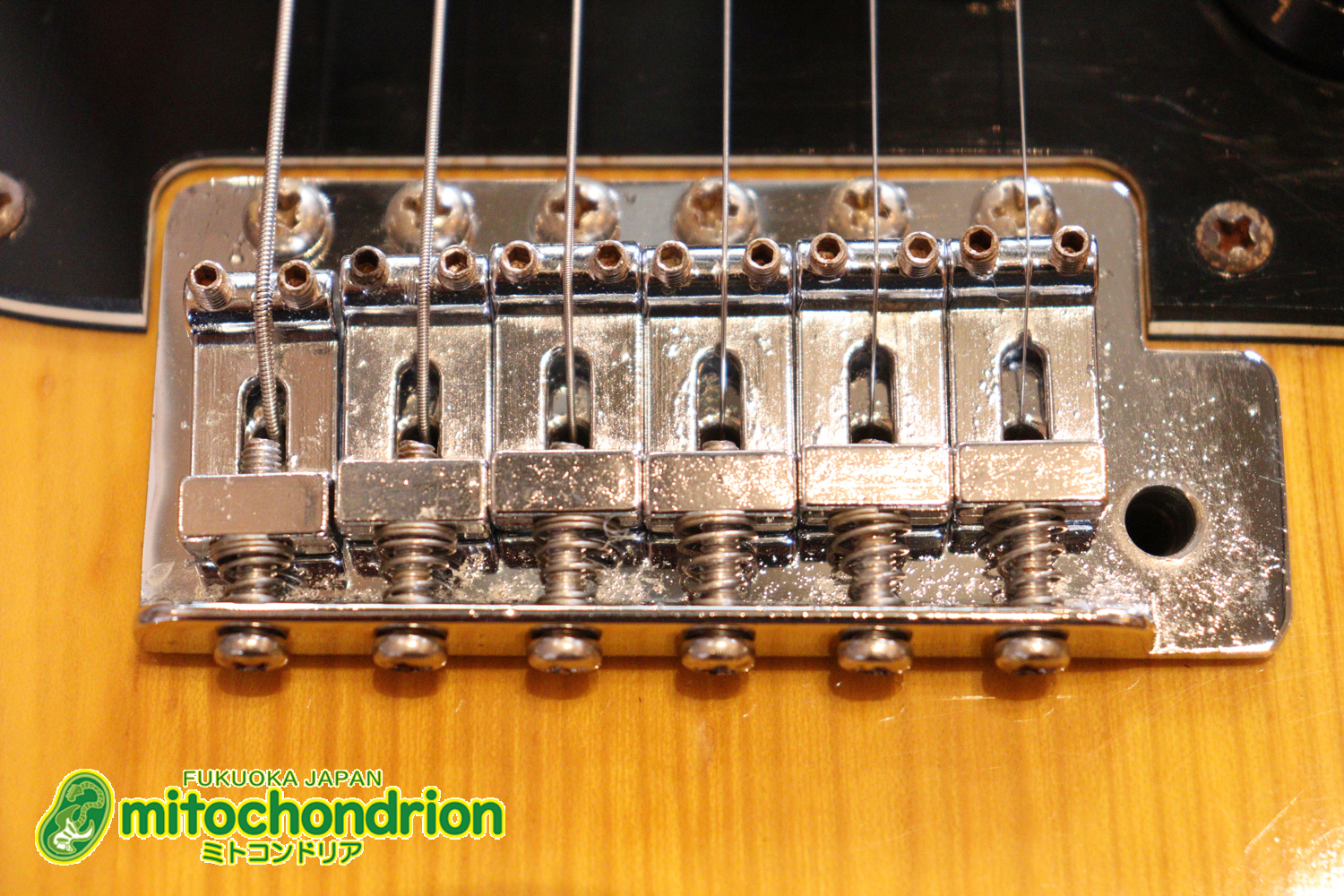 かなり綺麗な状態のTokaiシルバースター！