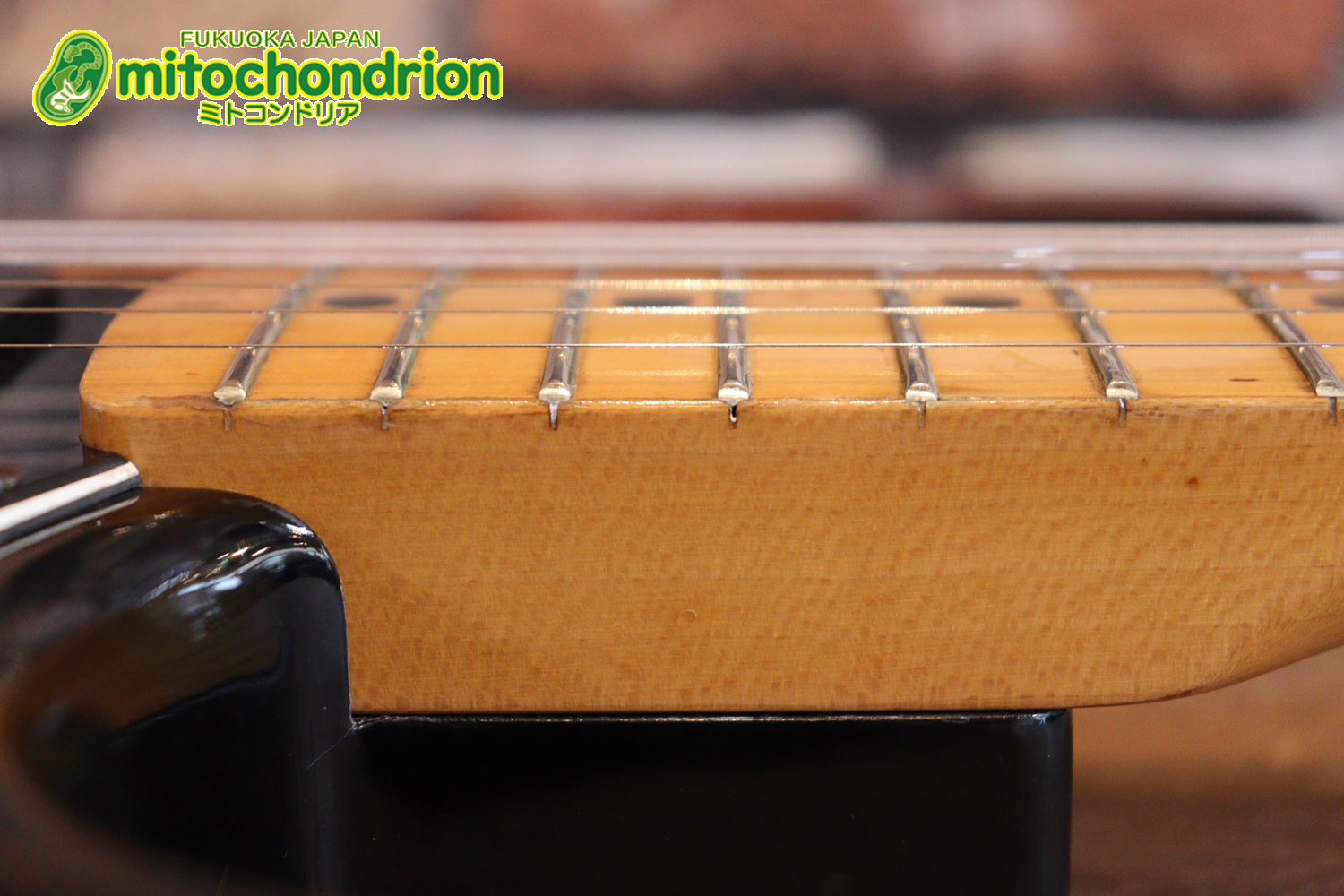 かなり綺麗な状態のTokaiシルバースター！