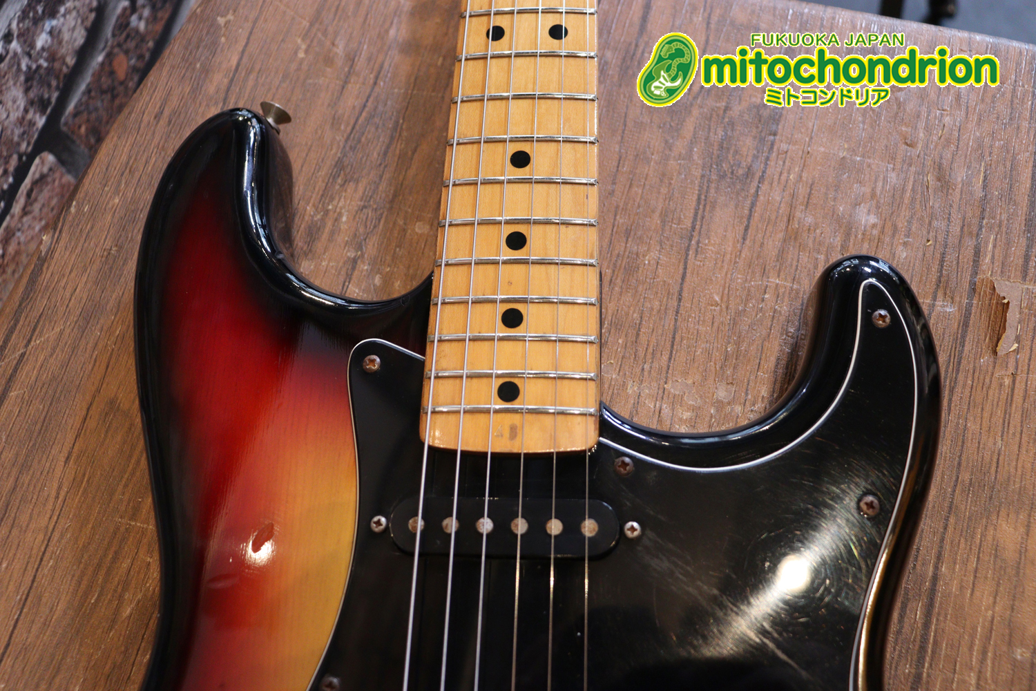 かなり綺麗な状態のTokaiシルバースター！