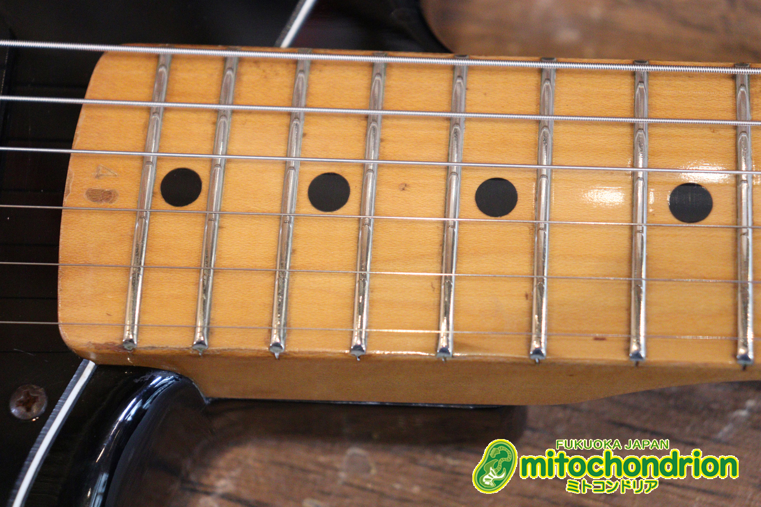 かなり綺麗な状態のTokaiシルバースター！