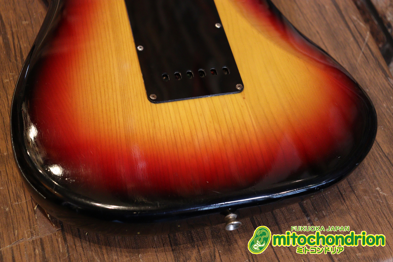 かなり綺麗な状態のTokaiシルバースター！