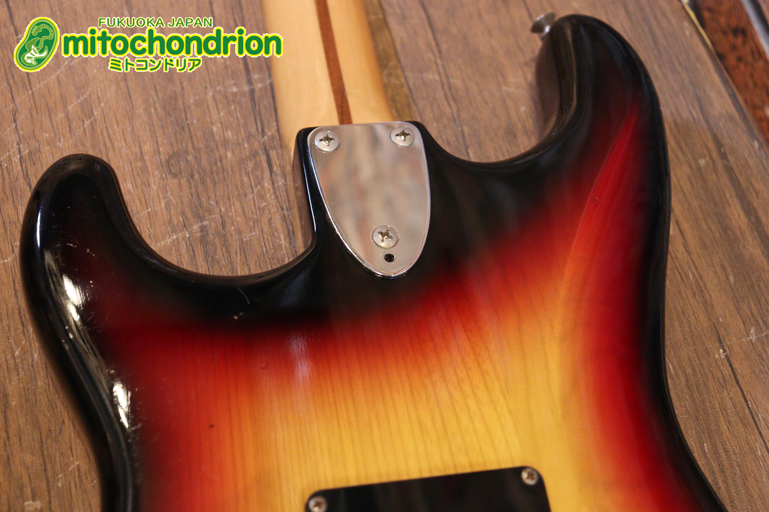 かなり綺麗な状態のTokaiシルバースター！