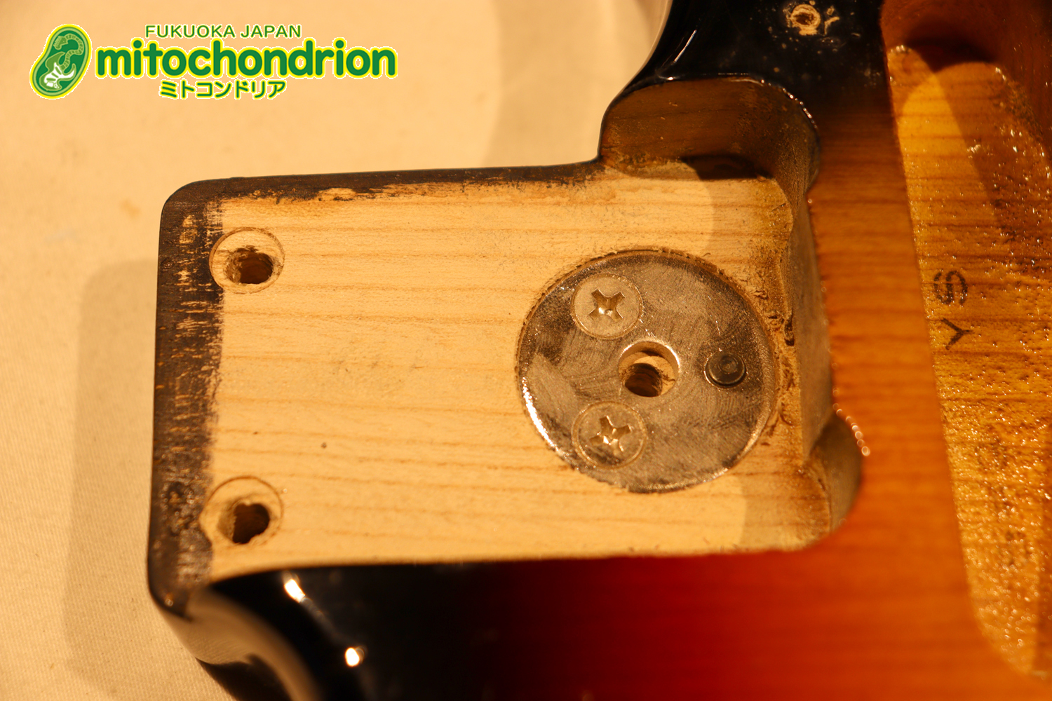 かなり綺麗な状態のTokaiシルバースター！