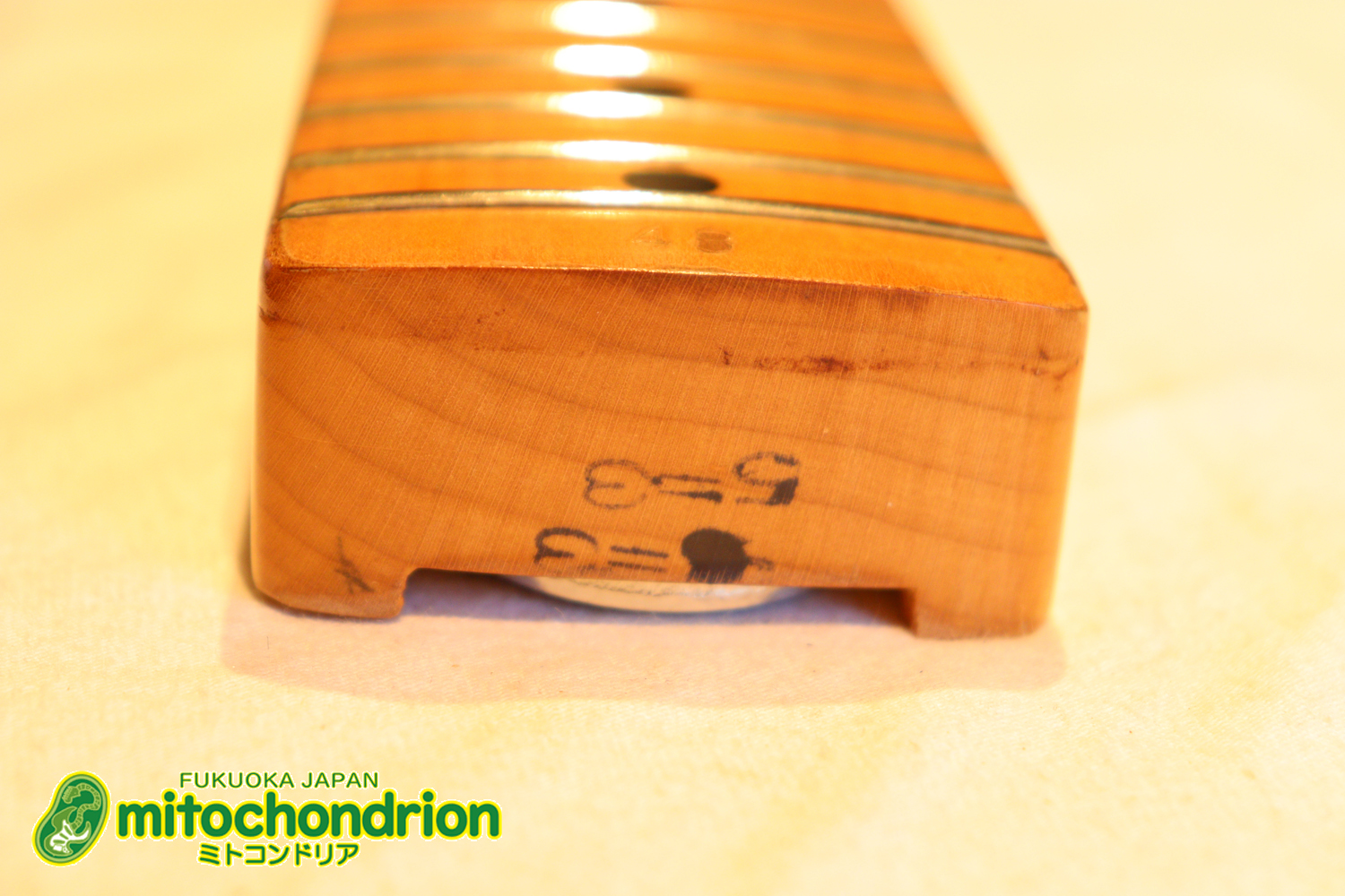 かなり綺麗な状態のTokaiシルバースター！