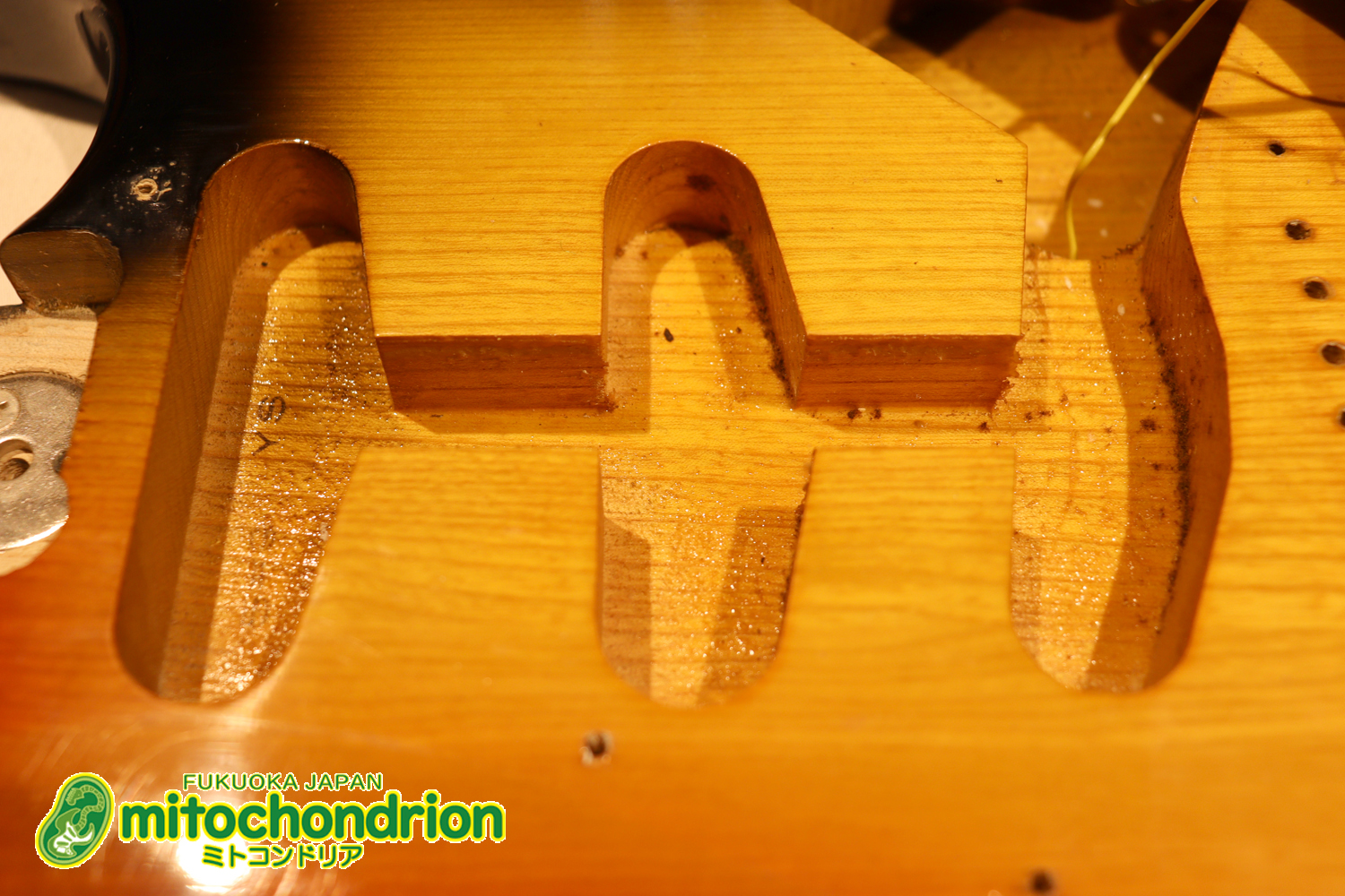 かなり綺麗な状態のTokaiシルバースター！