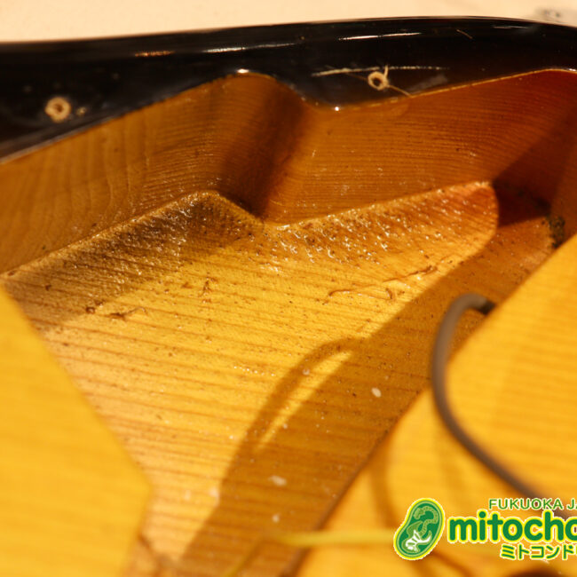 かなり綺麗な状態のTokaiシルバースター！