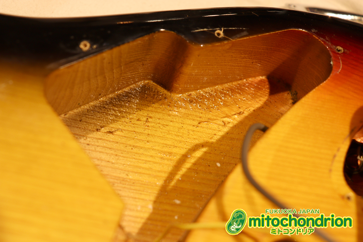 かなり綺麗な状態のTokaiシルバースター！