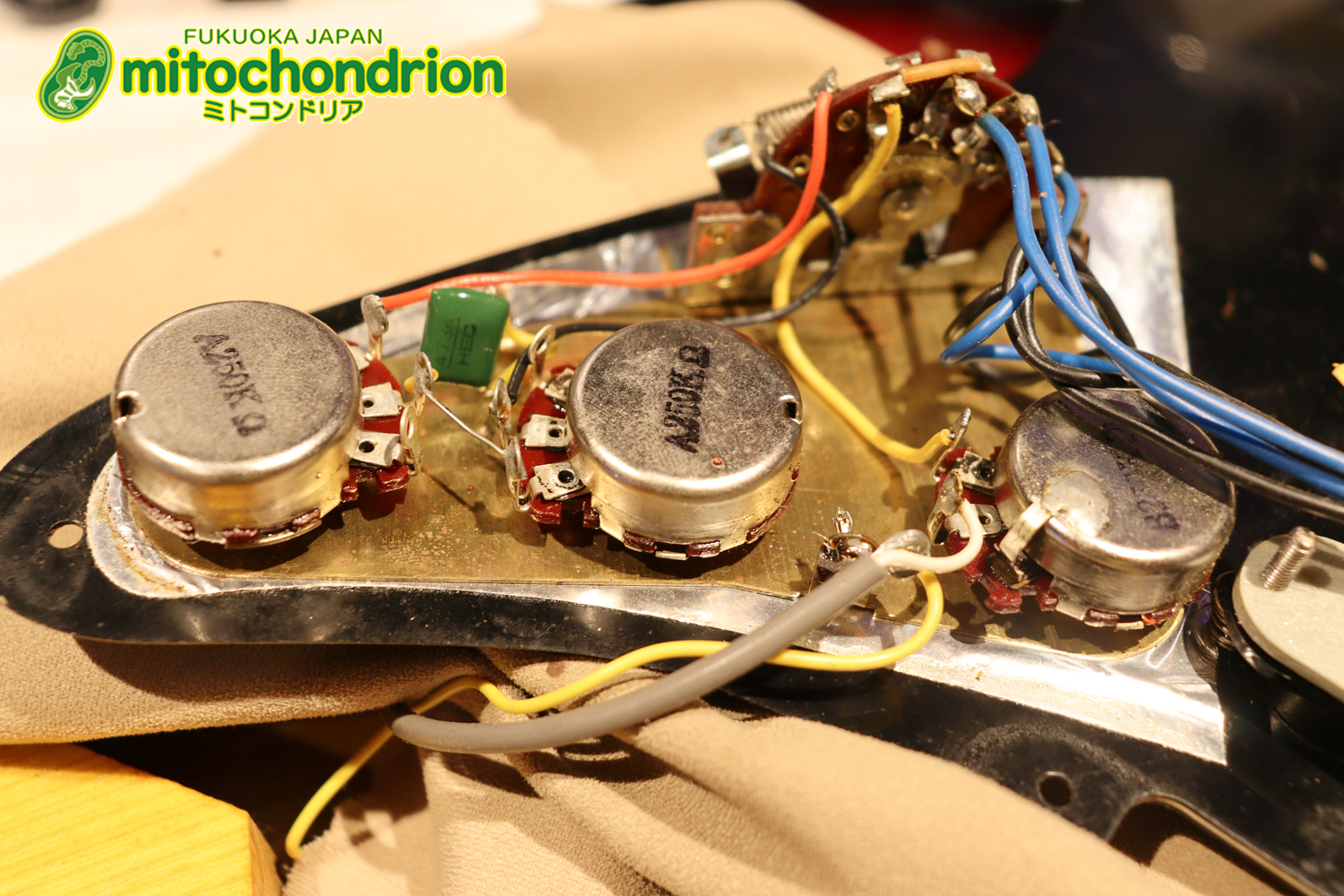 かなり綺麗な状態のTokaiシルバースター！