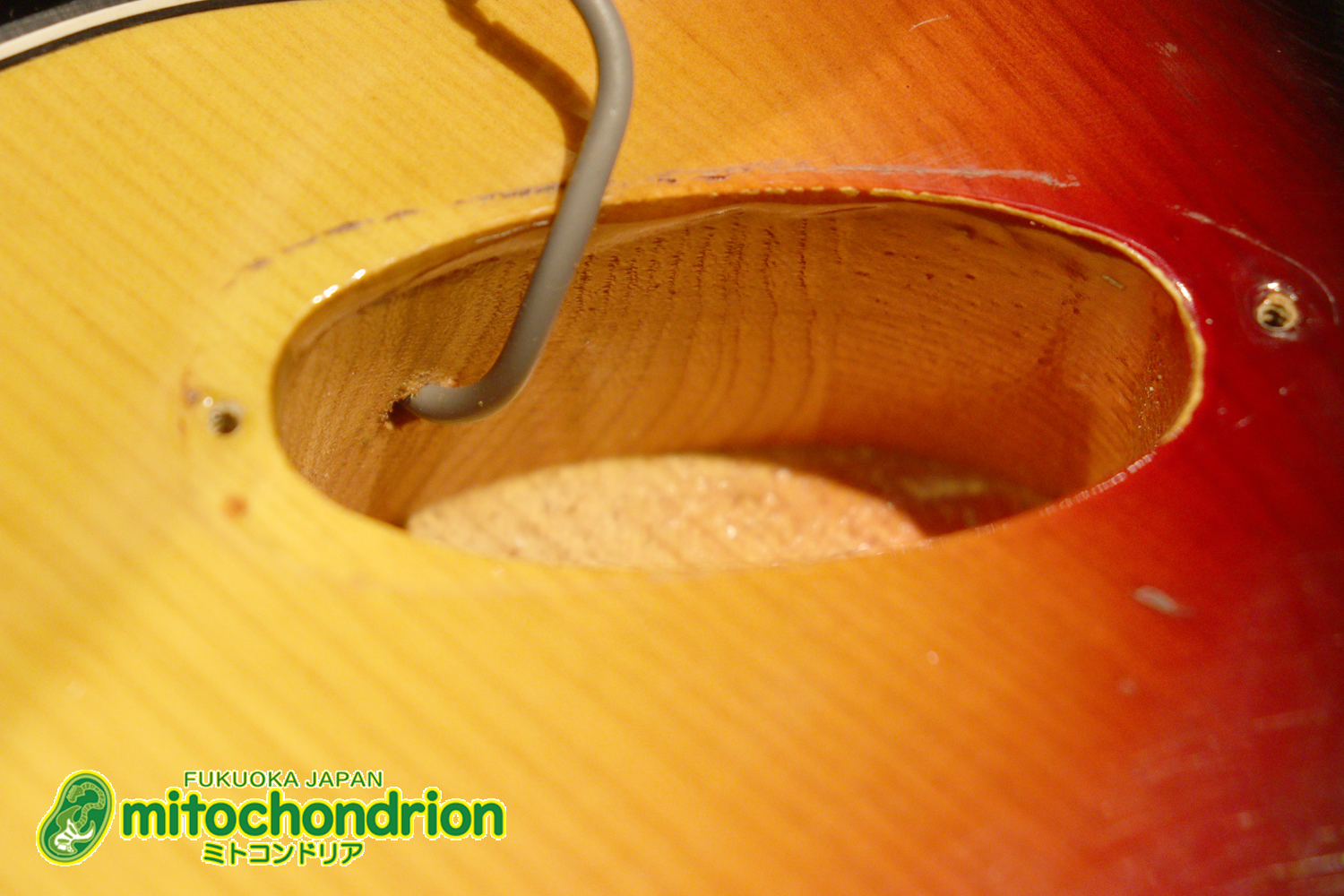 かなり綺麗な状態のTokaiシルバースター！