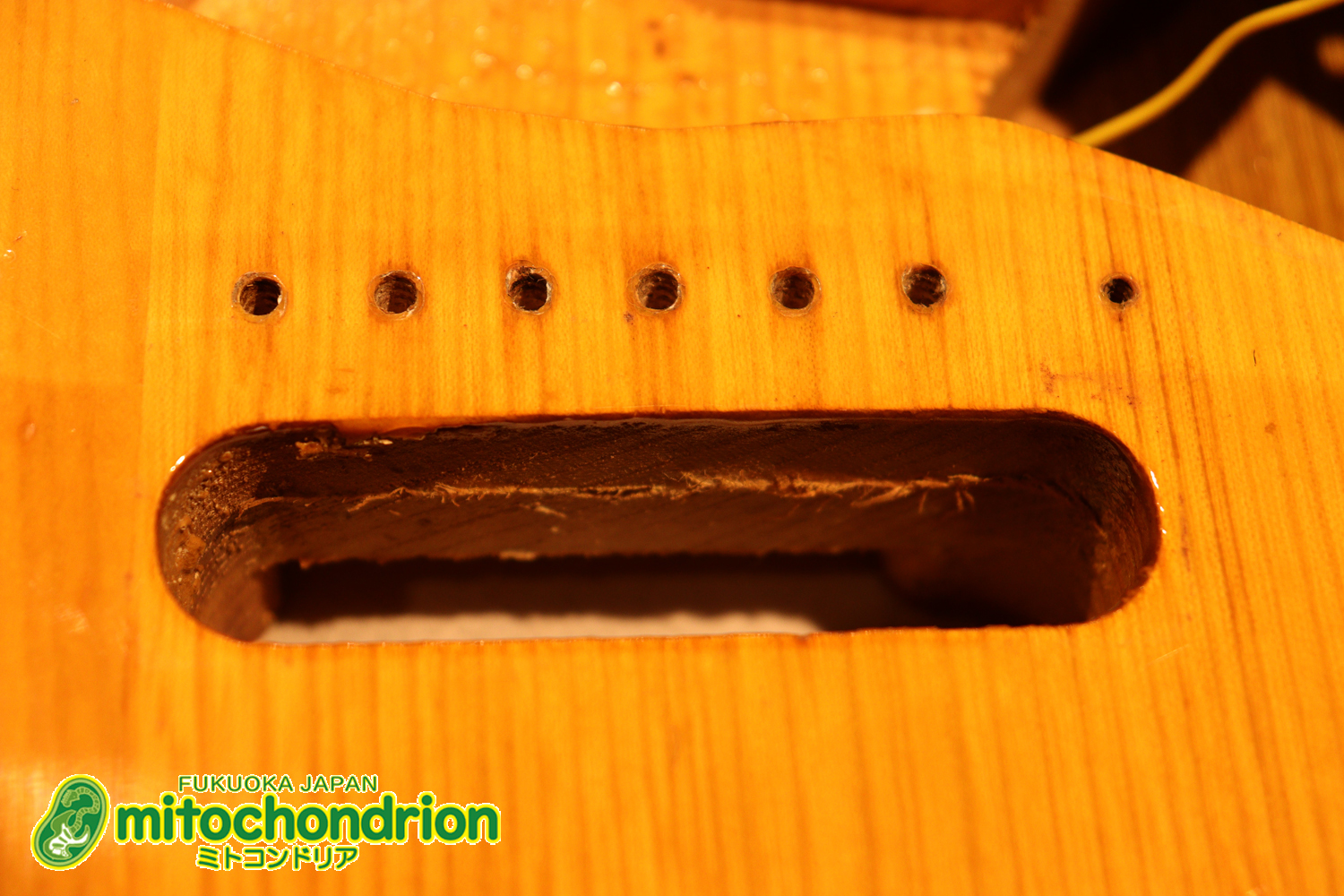 かなり綺麗な状態のTokaiシルバースター！