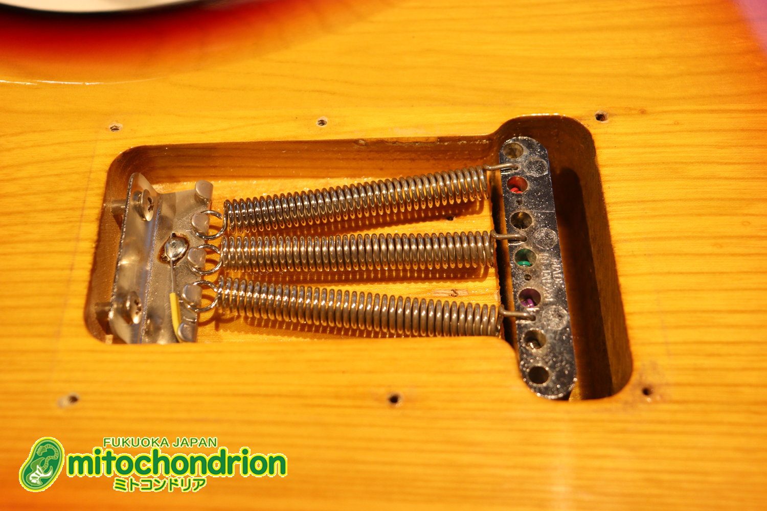 かなり綺麗な状態のTokaiシルバースター！