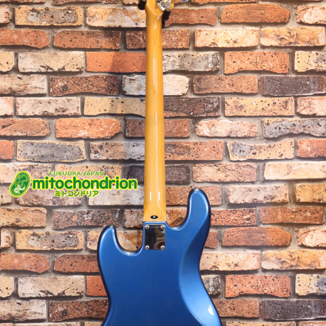 スパロゴ期のTokaiです！