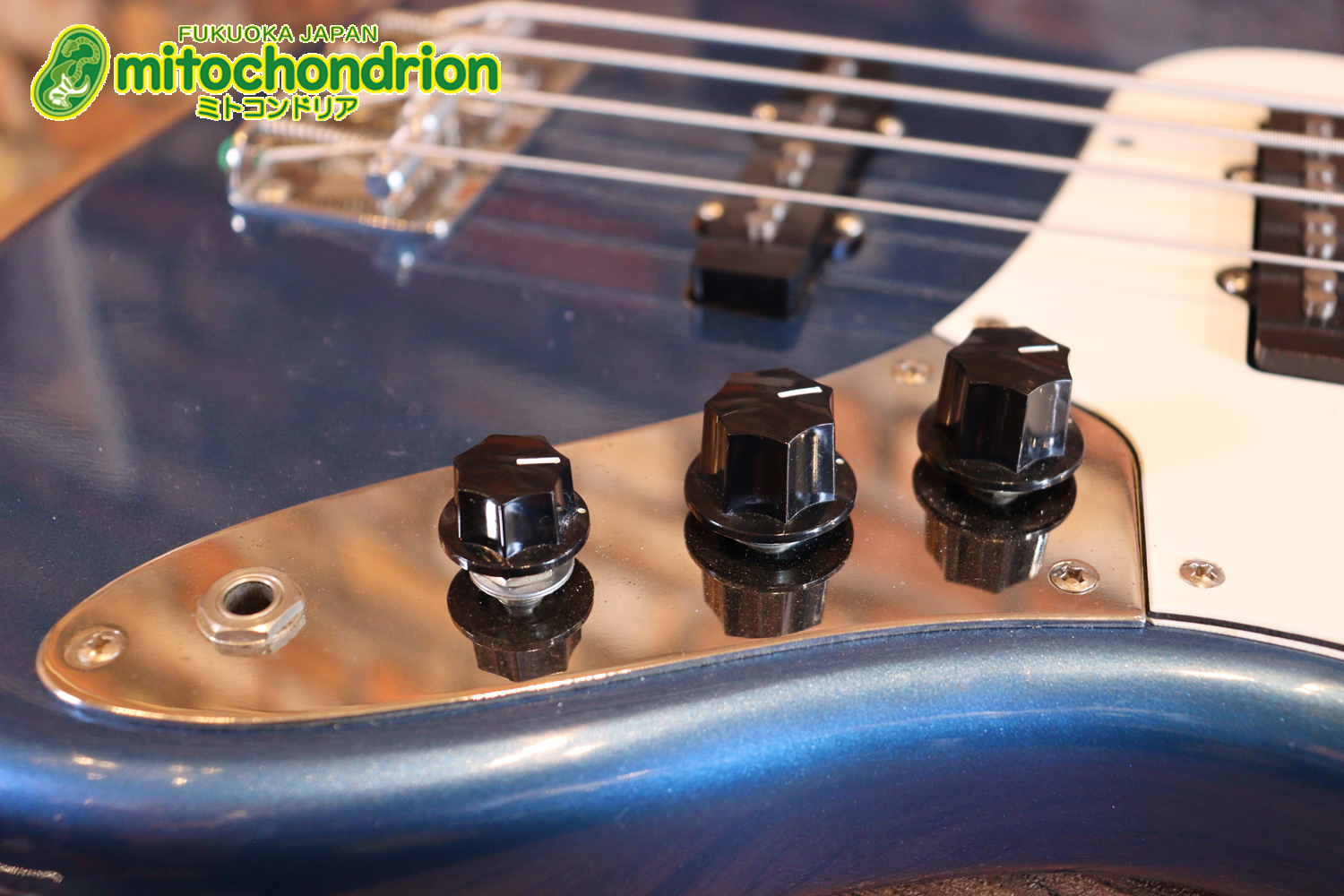 スパロゴ期のTokaiです！