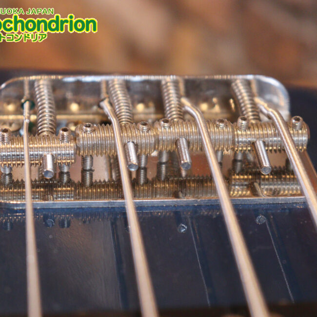 スパロゴ期のTokaiです！