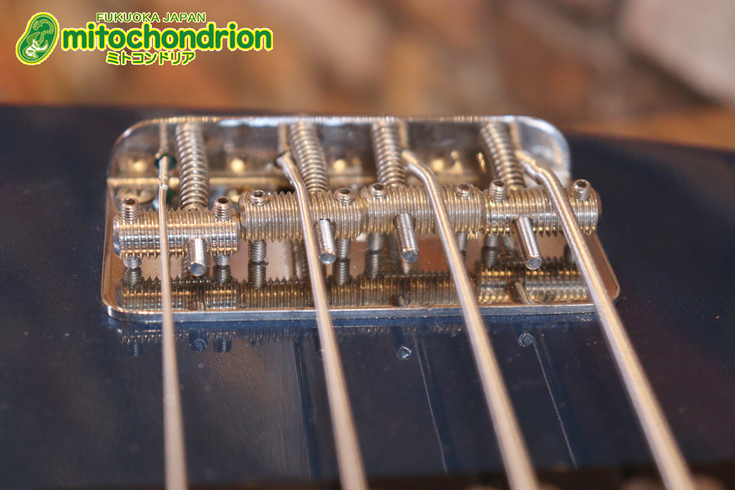 スパロゴ期のTokaiです！