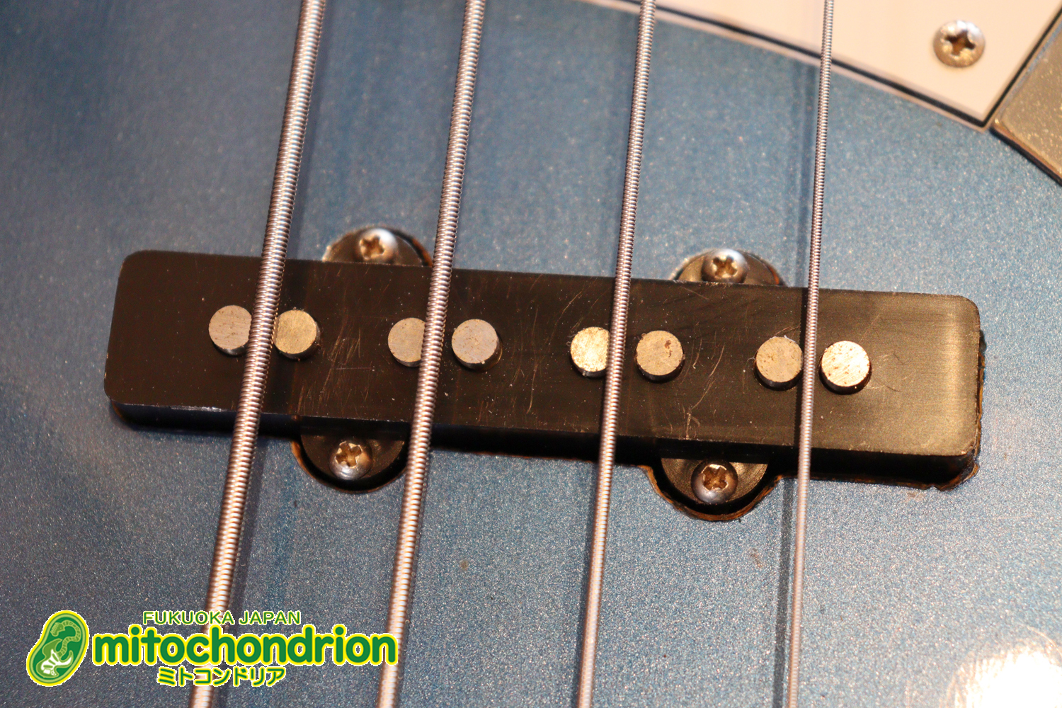 スパロゴ期のTokaiです！