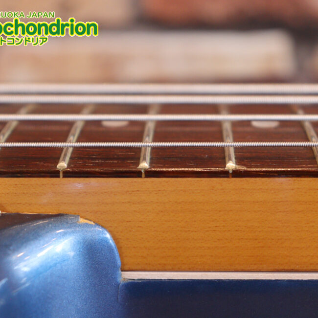 スパロゴ期のTokaiです！