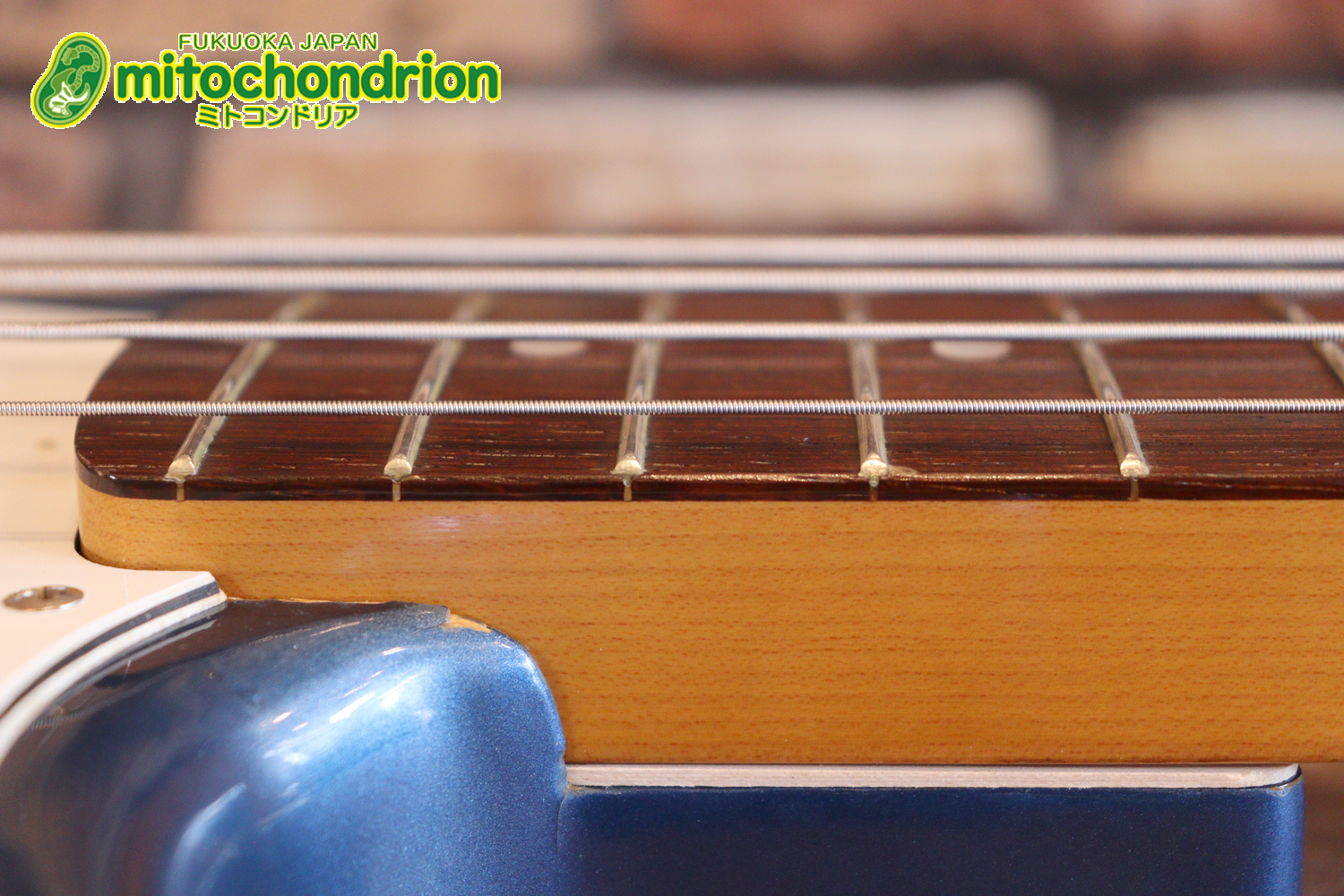 スパロゴ期のTokaiです！