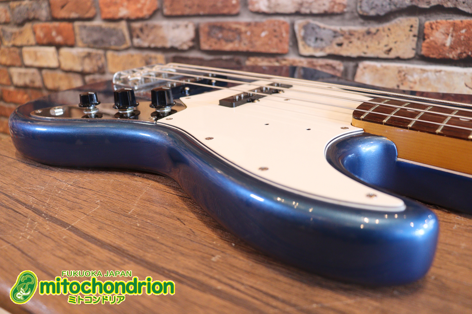 スパロゴ期のTokaiです！