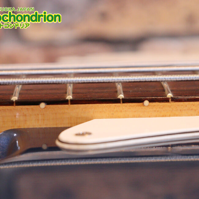 スパロゴ期のTokaiです！