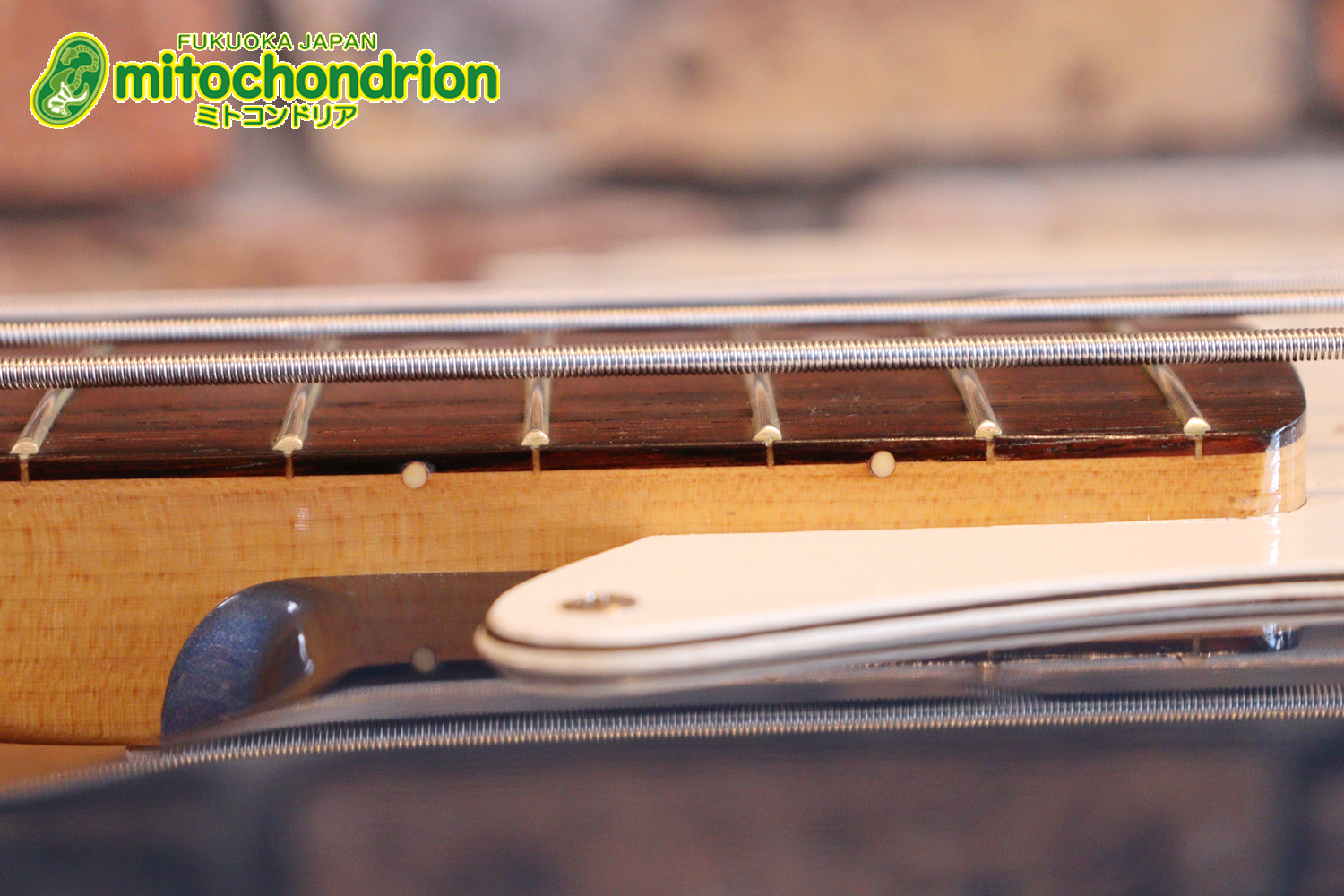 スパロゴ期のTokaiです！