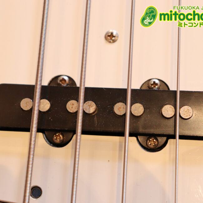 スパロゴ期のTokaiです！