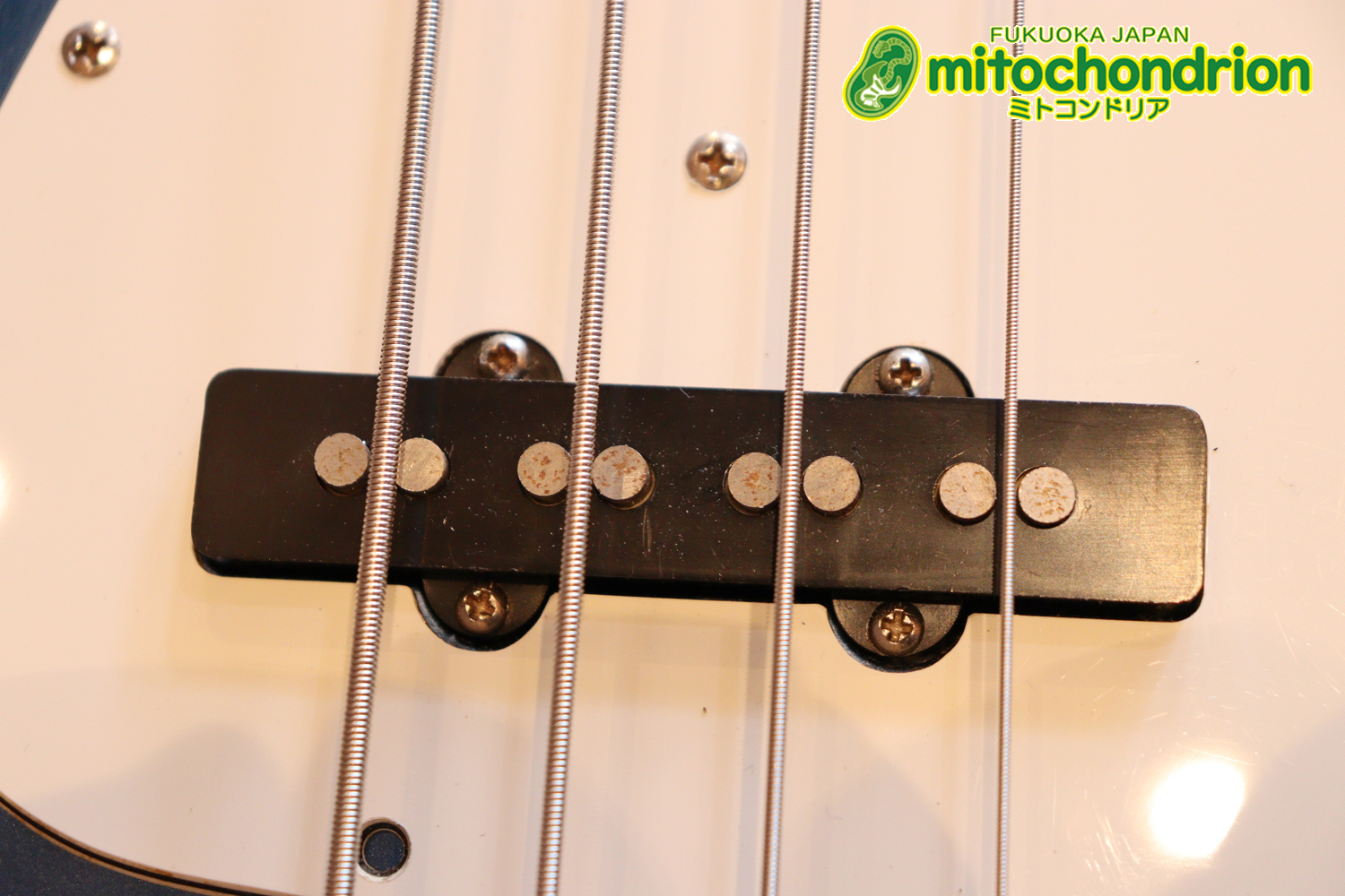 スパロゴ期のTokaiです！