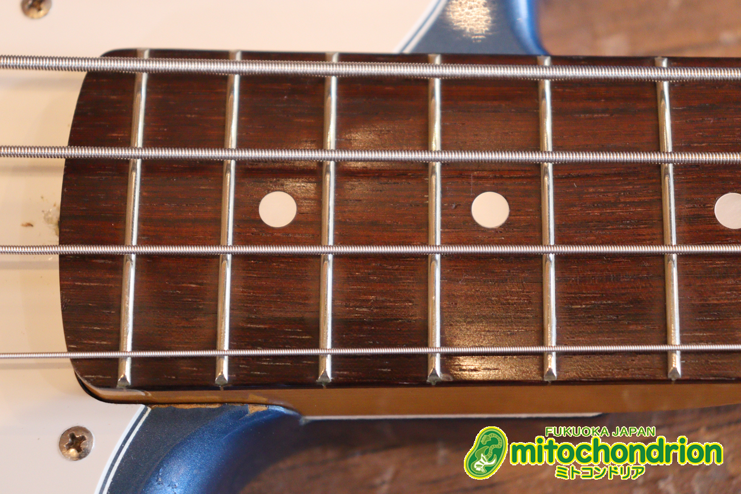 スパロゴ期のTokaiです！